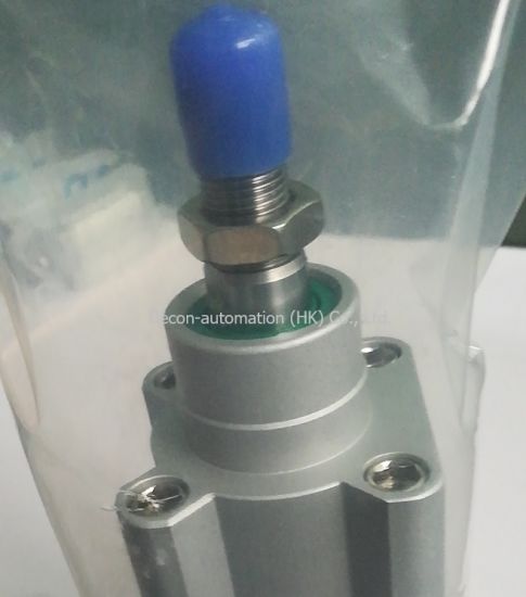 Pneumatic Cylinder Dsbc-50-40-Ppva-N3 Dsbc Series